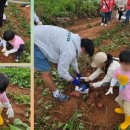 사방외갓집마을 이미지