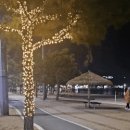 눈애안경 이미지