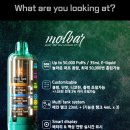 초초몰