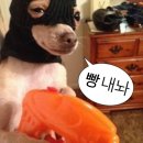 박쿤스트