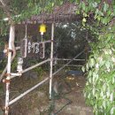 에덴목장 이미지