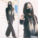 메두사