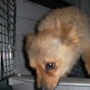 삼일주유소 이미지