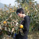 유신농장 이미지