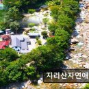 지리산자연애펜션 | 지리산자연애펜션 자연 속 청정 힐링 공간