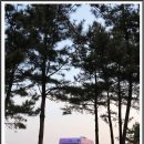 오렌지오토 이미지