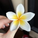 부영하우스 A | [차칸골프투어] 한겨울 골프여행 &lt;라오스&gt; &#34;부영cc&#34; 라운딩 후기