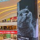 광화문로얄안경 | [경기 하남 스타필드] 코카-콜라 크리스마스 팝업, 광화문미진, 안스베이커리, 차일디쉬(CHILDISH...