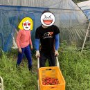 본전건강원
