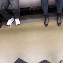 피그 패밀리 | 2601 일미멕 여행: 츠키지 시장,아사쿠사 피그카페,스카이트리,도쿄에서 샌프란이동,샌프란 공항 입국심사