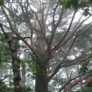 도량마을회관 이미지