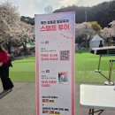 수지침(야간) | [제천 여행] 아이와 2026 청풍호 벚꽃축제 가족 봄나들이 후기