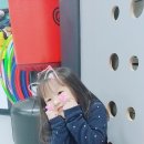 리라유치원.어린이집 이미지