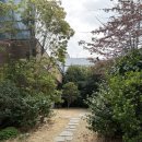 마인드웨이브 | [모던마인드]광안리 인물중심 웨딩촬영 생생후기(feat.추가금)