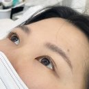 새목포 | [목포 속눈썹] 내눈에 맞춤형 케라틴 속눈썹펌 후기, 애견동반가능한 목포속눈썹 맛집 새로브로우