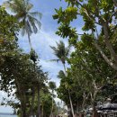 라스트 라인 (LAST LINE) | 끄라비 아오낭 더라스트 피셔맨바 The Last Fisherman Bar 선셋 불쇼 예약 정보 분위기 맛집 후기