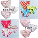 캣앤레빗 이미지