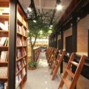 놀숲 - 동대문구 회기로13길 6 | 놀숲