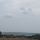 제주돌고래공인중개사사무소 이미지