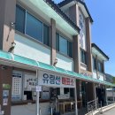 단양가볼만한곳 아이들과유람선 <충주호단양유람선 장회나루> 솔직 후기 !