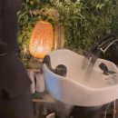 로엘동물병원 | 운정 스타필드 미용실, 로엘바이아이디헤어 가영 실장 두피 디톡스케어 후기