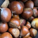 장터이야기 이미지