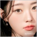 제주돌체 이미지