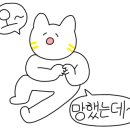 화순평양면옥