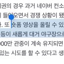 “2030 여성의 야구장 습격, 올해 숏폼 허용이 촉매제 됐다” 이미지