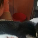 동양약국 이미지