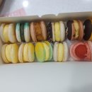 마카롱샵홍스
