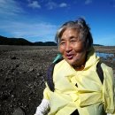 정 깊은 할매 밥 한끼를 찿아서 인천 장봉도,순천,경남 고성,고흥,홍천,양구,울주 언양장으로 떠나는 한국 기행(EBS,10/13~17 이미지