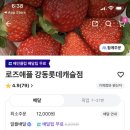 로즈애플강동롯데