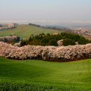 운산목장 이미지