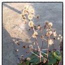 한산파출소 이미지