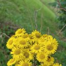 안녕, 커피 이미지