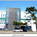 구룡포침구 이미지