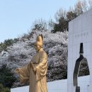 수원-1970 | 8개월 아기와 수원 행궁동 벚꽃 나들이｜보영만두 본점 방문 후기 (원조 논란 정리)