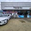 청춘회물회