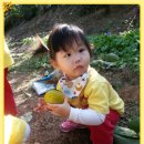 효동농장 이미지