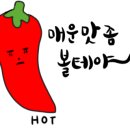 슬기로운 초록생활 이미지