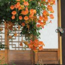 봉녕사 - 934 | 봉녕사