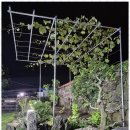 스테이 제주이음 이미지