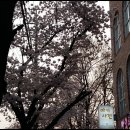 배산농장 이미지