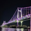 선프라자 앞 | [부산여행] 부산 요트투어 카인드맨 요트｜해운대 야경 불꽃놀이 제대로 본 후기