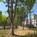 신매근린공원 이미지