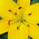 시대안경 이미지