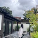 스테이더담 가곡 이미지