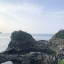 스테이월든 이미지