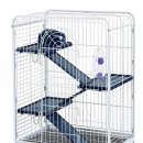 H1370 | 친칠라쥐 용품 나눔 받다!